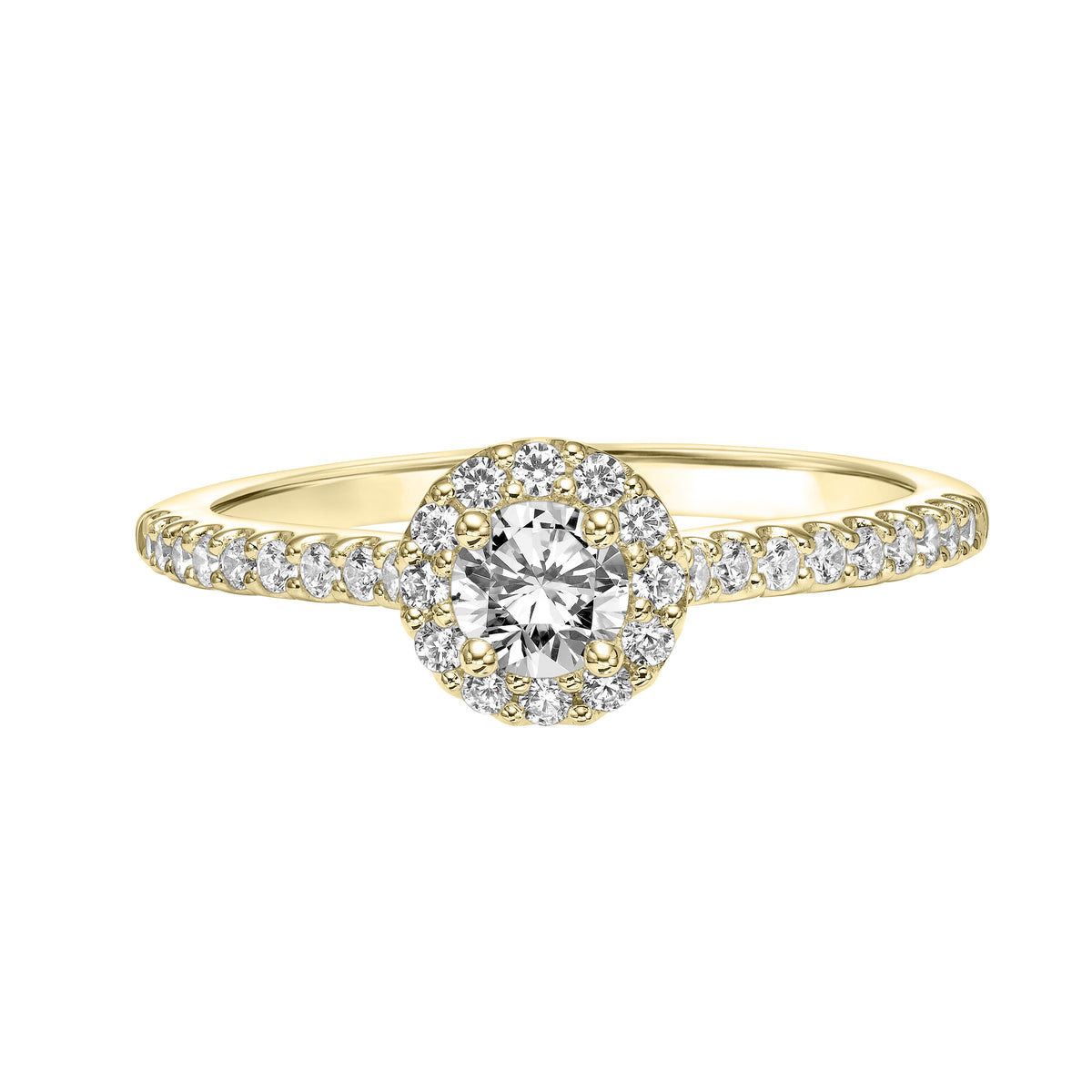 Diamond Halo Engagement Ring with Diamond Shank
